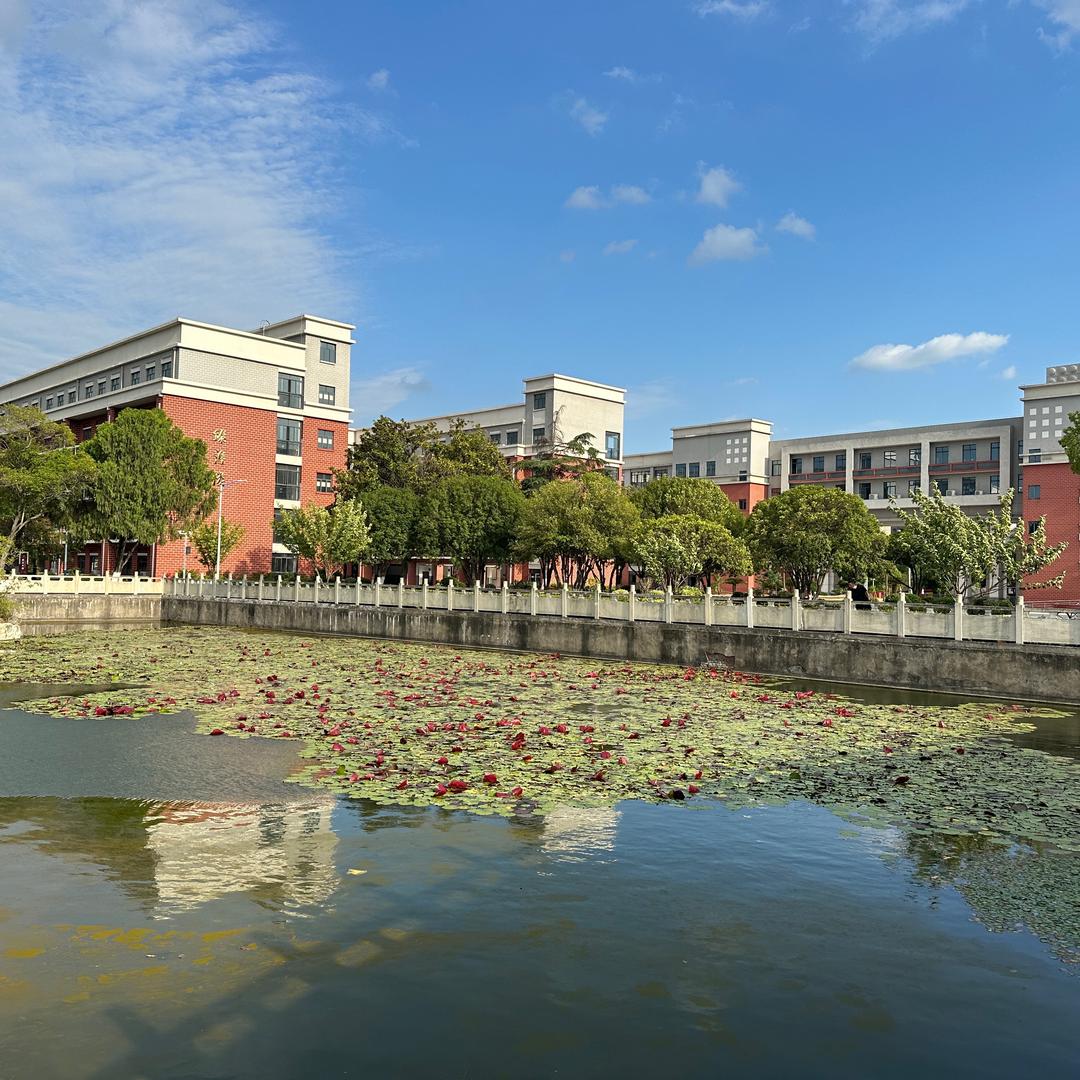 小 样