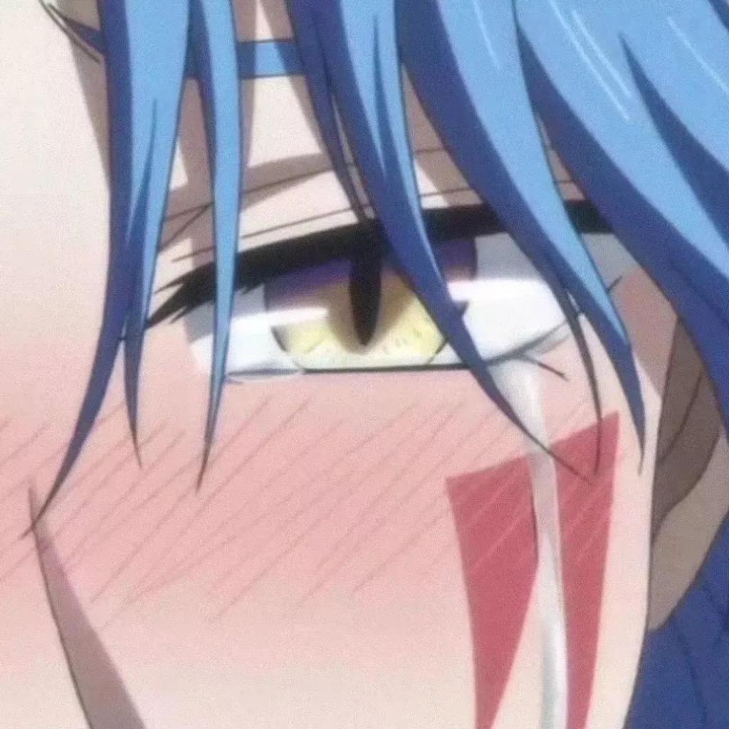 韵凡☁️（子夕阳西下）