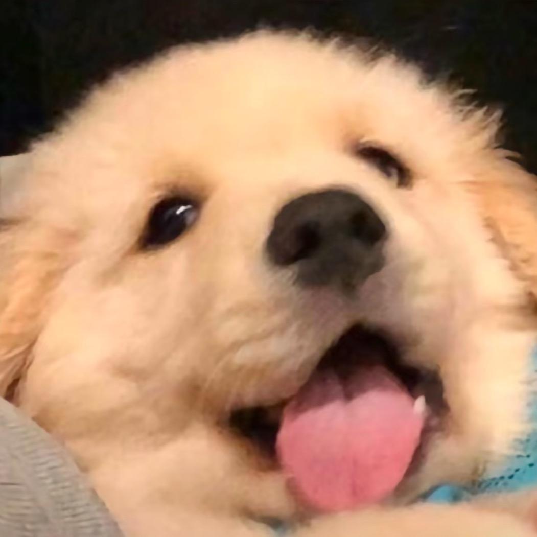 炸毛推文