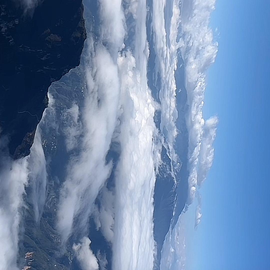 新疆旅行者