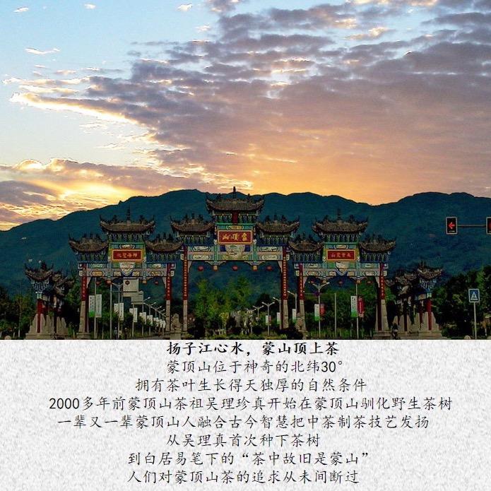 蒙顶地道好茶 茶厂批发