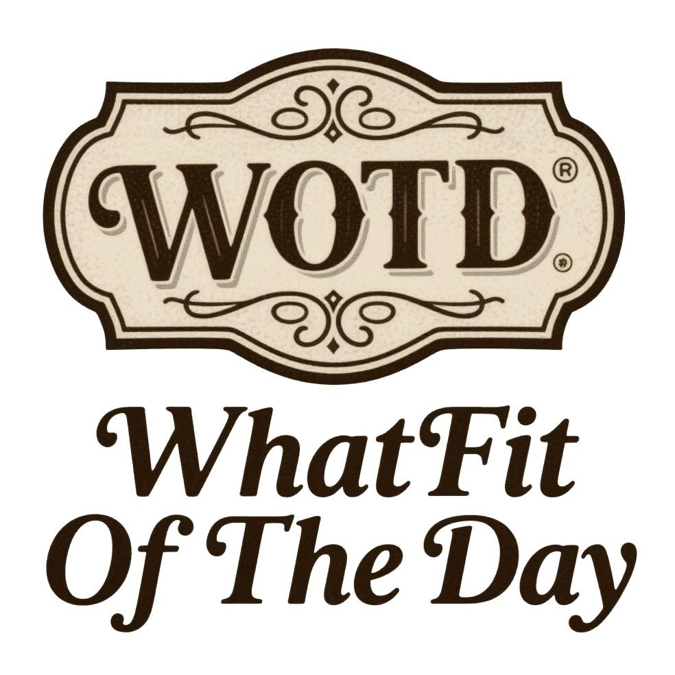 今天穿什么WOTD