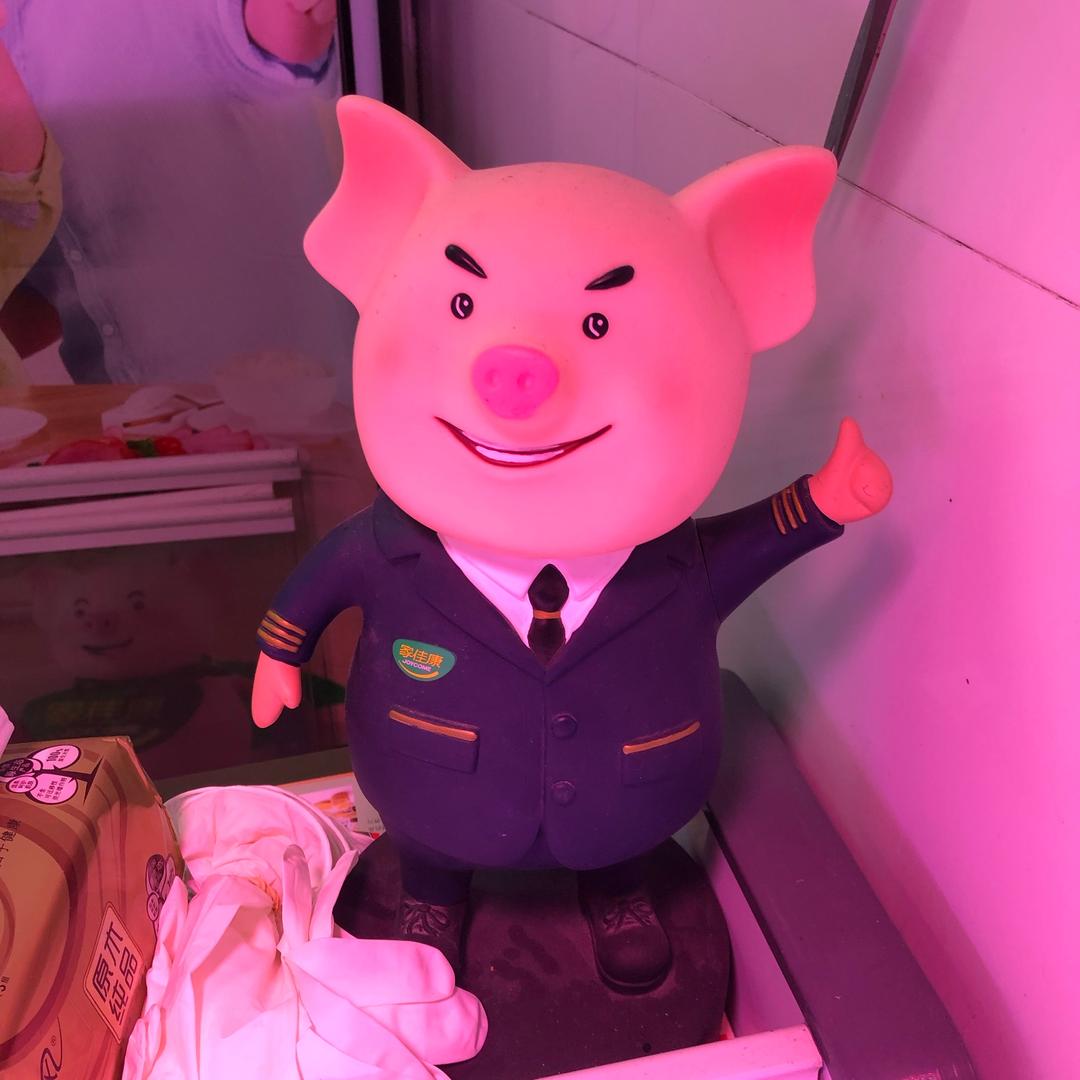 王猪猪🐽