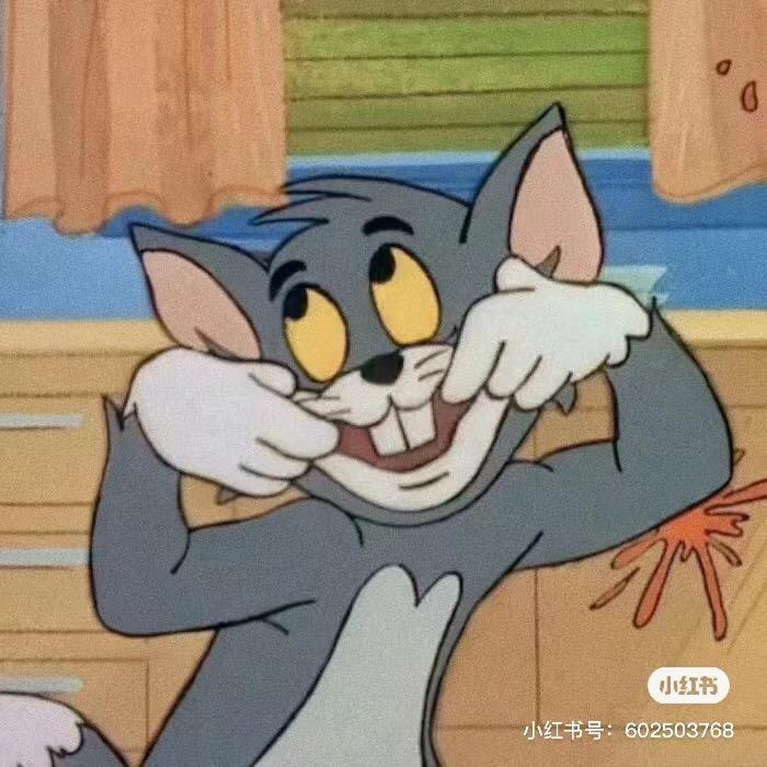 汤姆猫