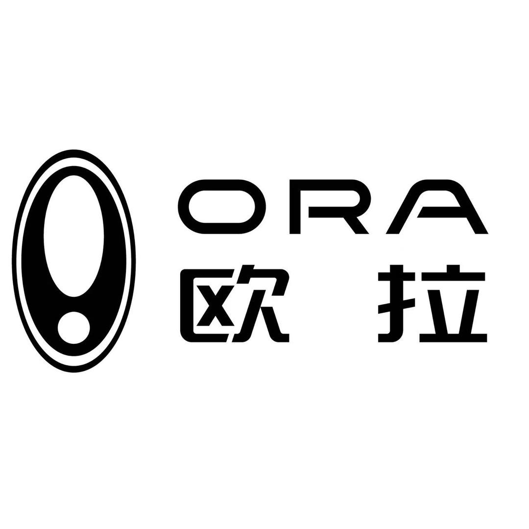 丽水猫印象