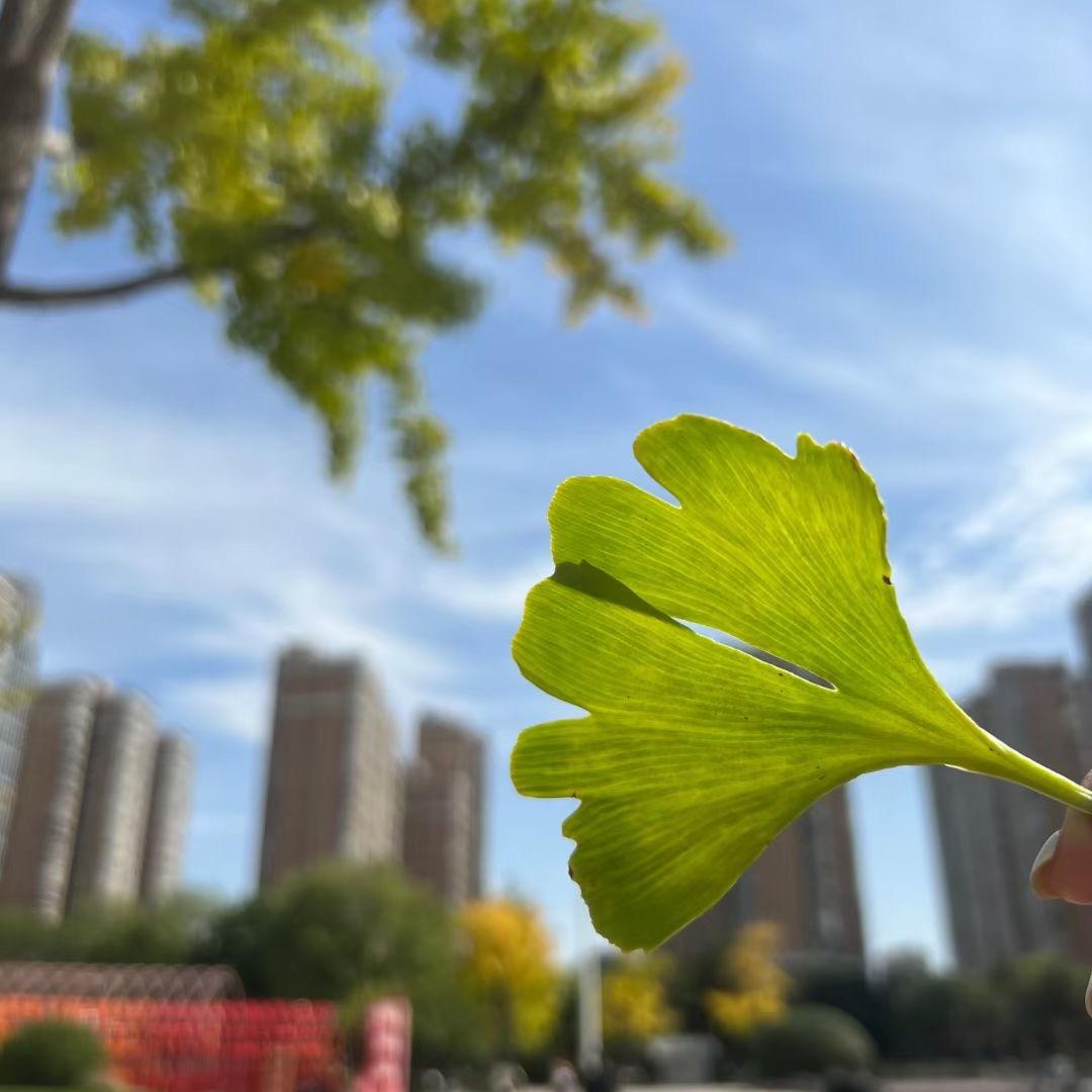 绝望的西北妇女