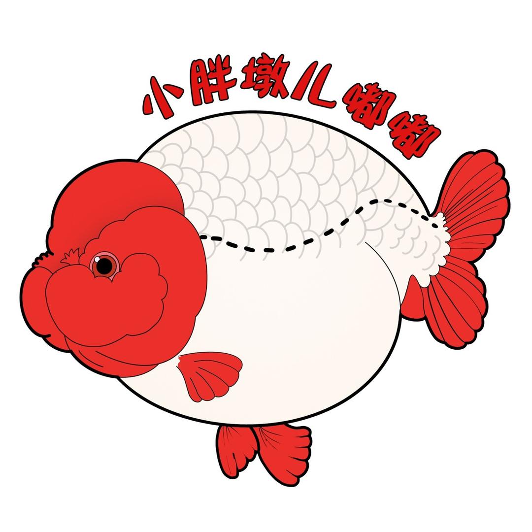嘟嘟兰寿金鱼（小胖墩儿嘟嘟）