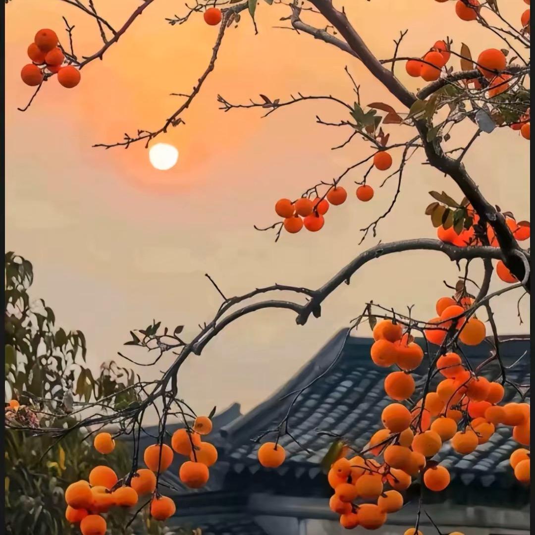 大富大贵