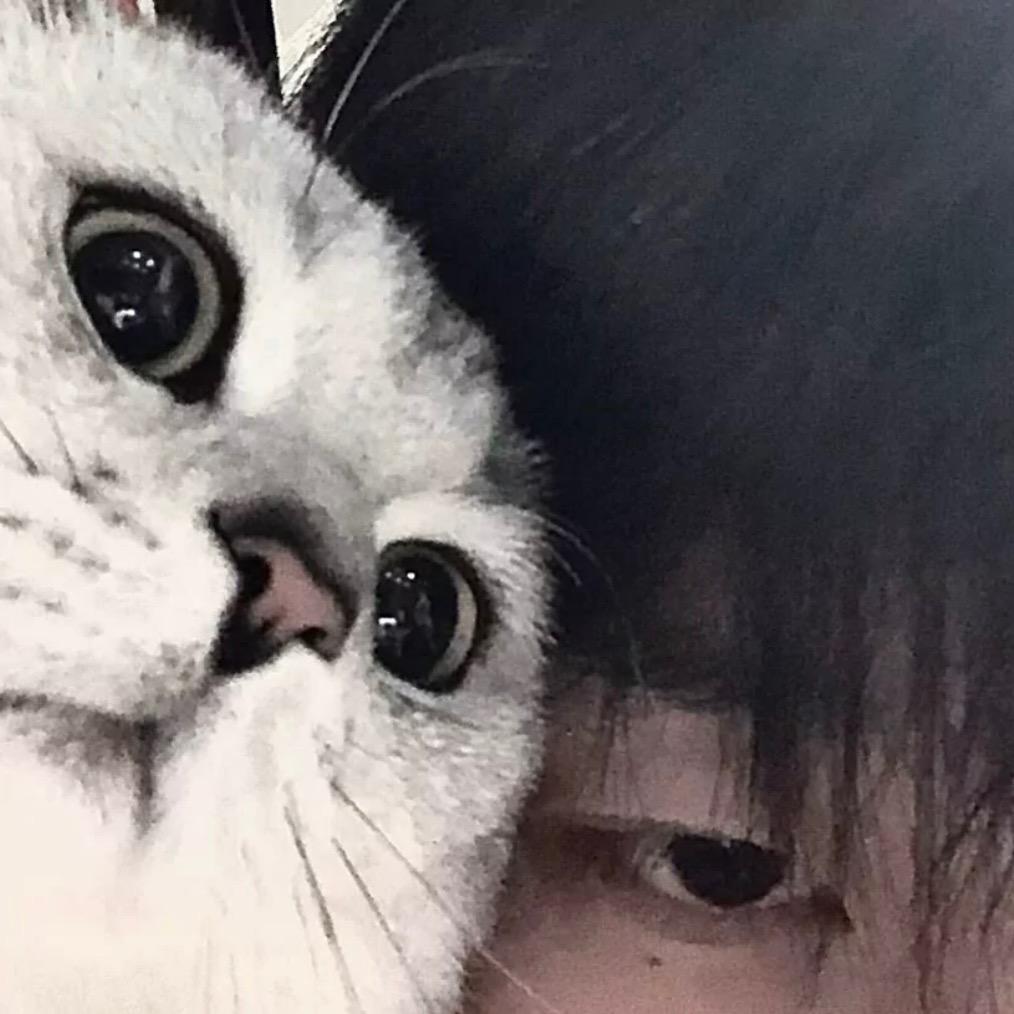 东东.