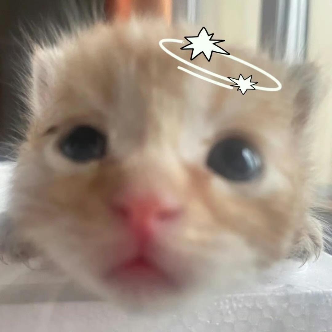 一二大王