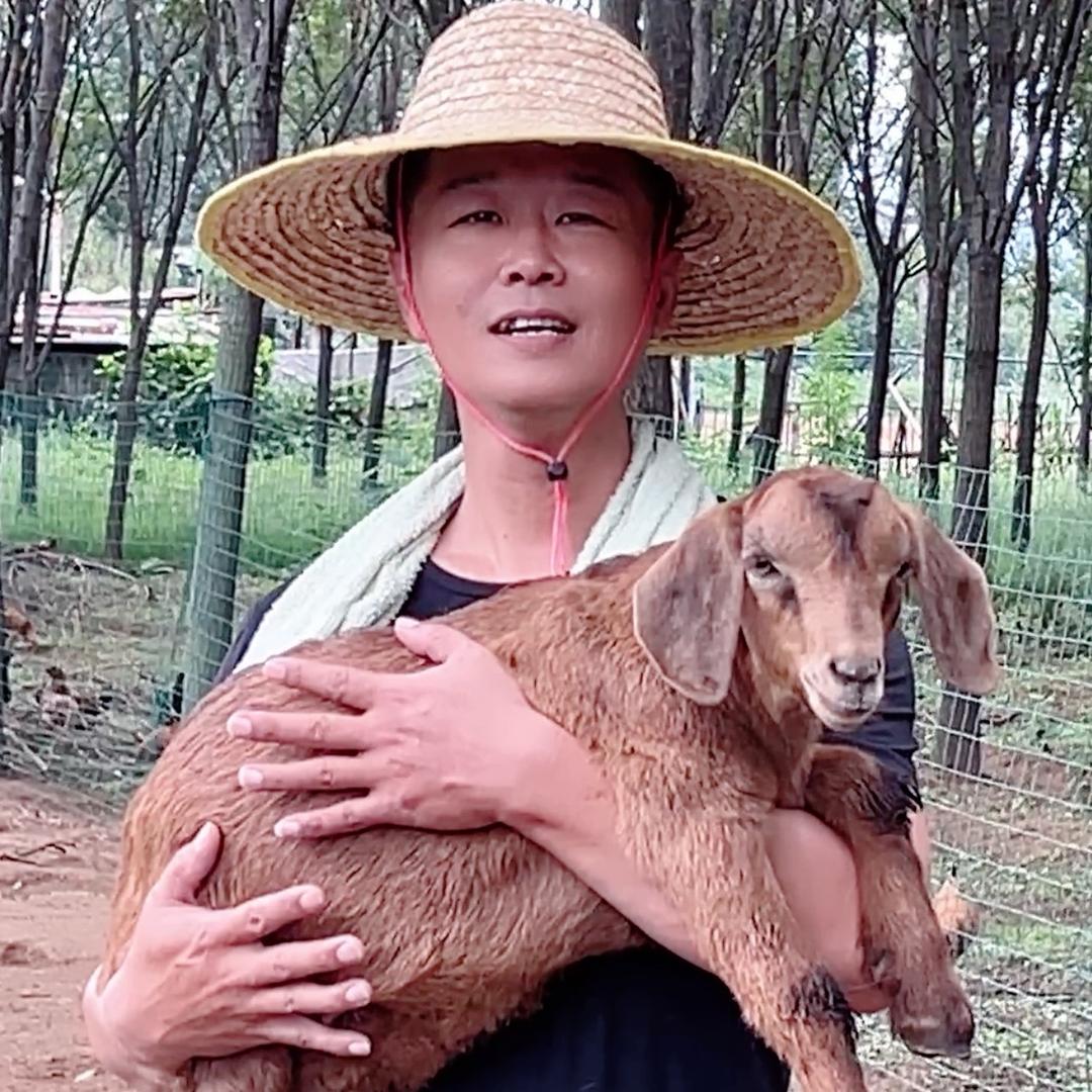 京城小刘到农村（小号）