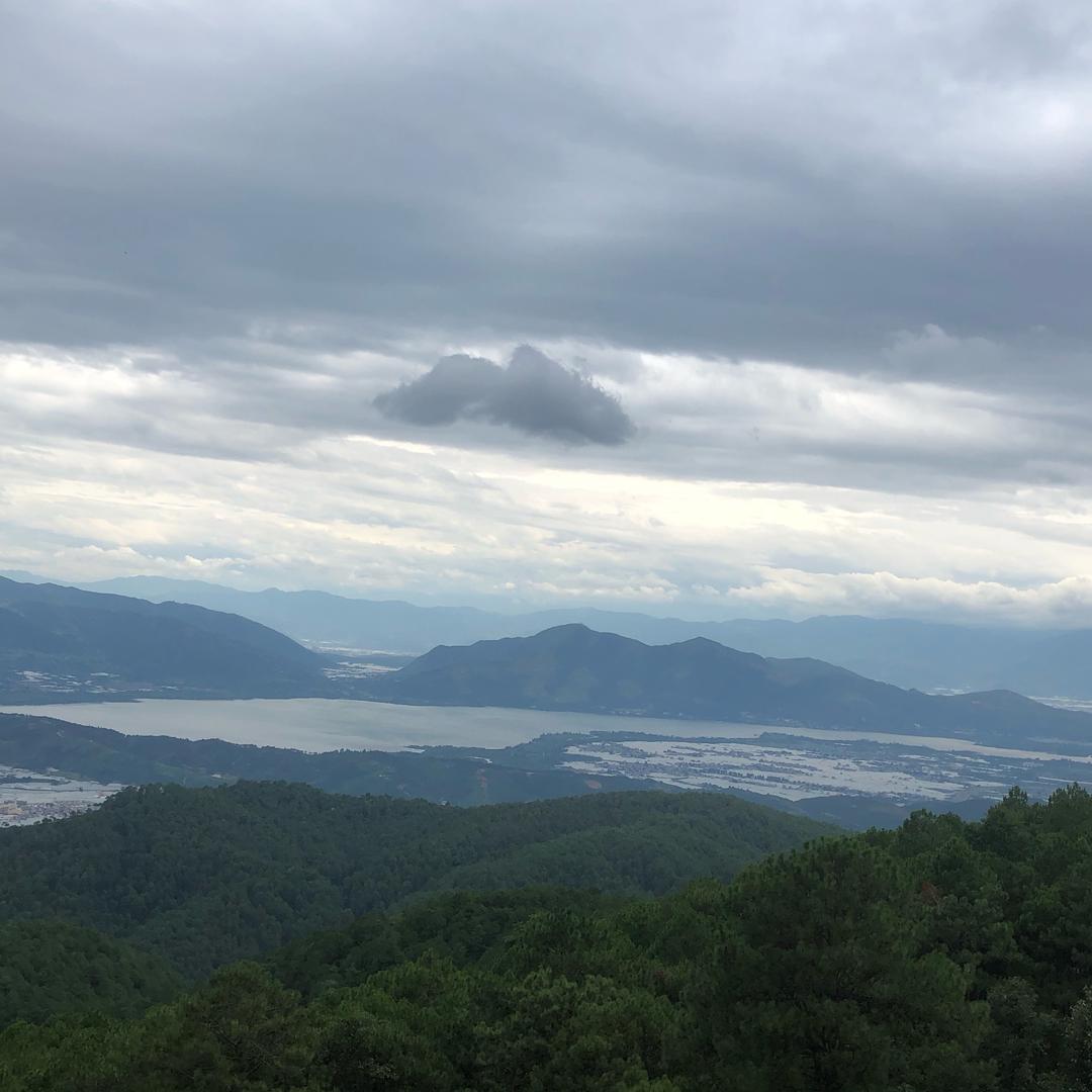 半醉半醒半痴呆（小但）