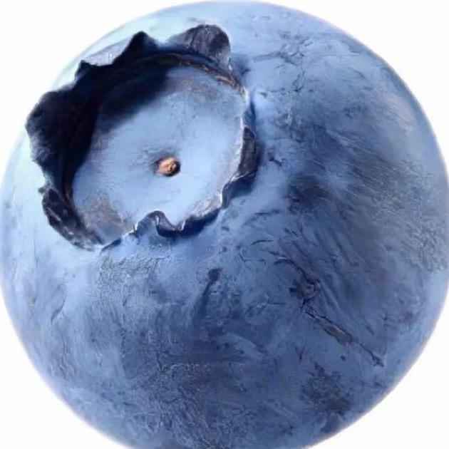 偷吃一颗蓝莓🫐