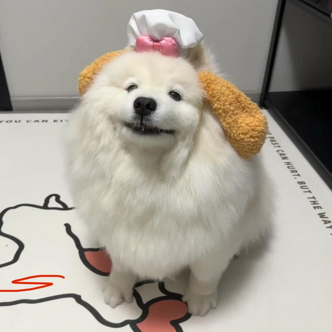 施妍er