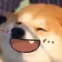 不太聪明的帅哥诶