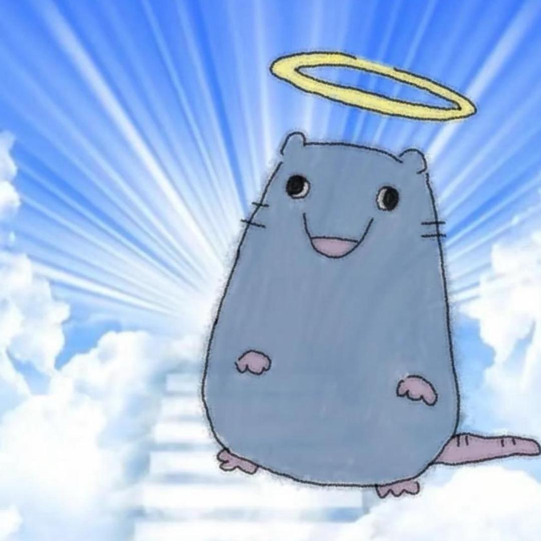 温柔且人机666
