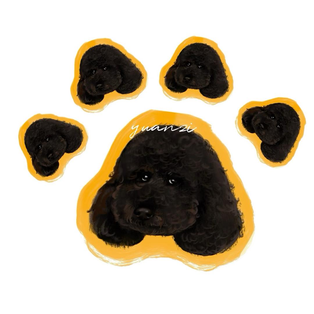 爪爪宠物店官方号