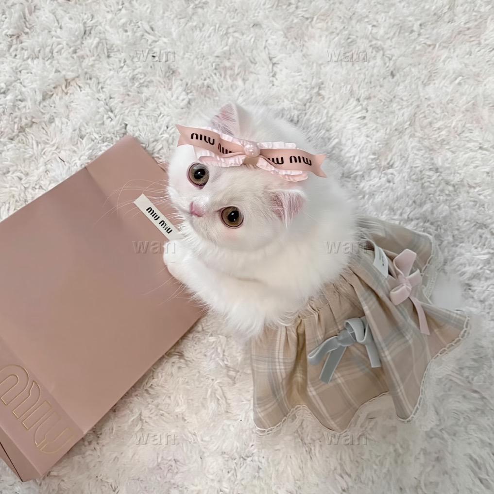 ʰᵉˡˡᵒ   kitty.