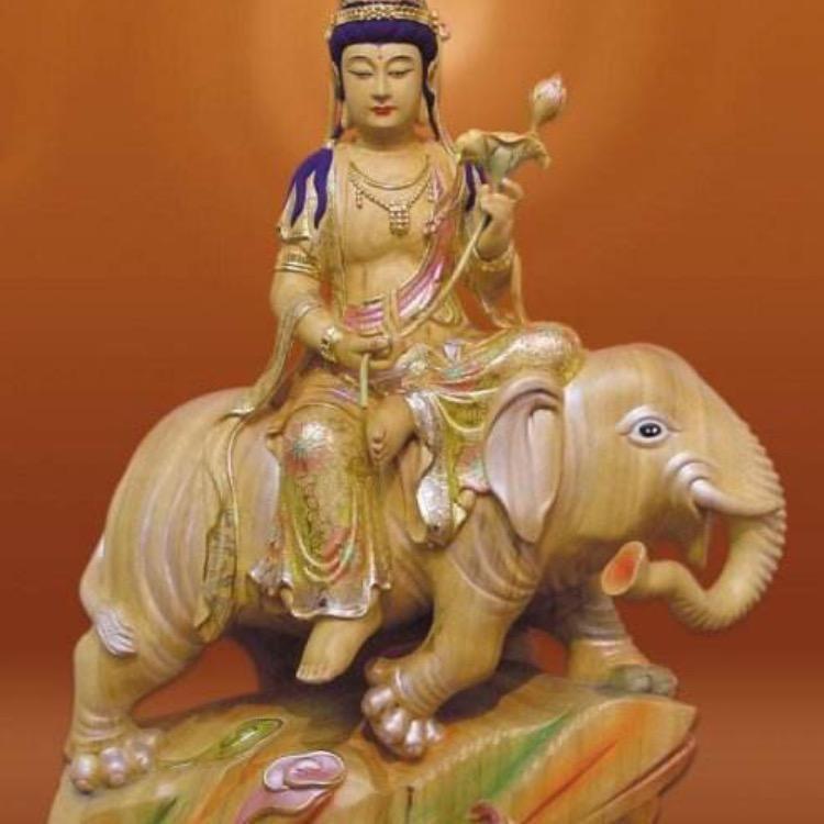 慈悲为怀