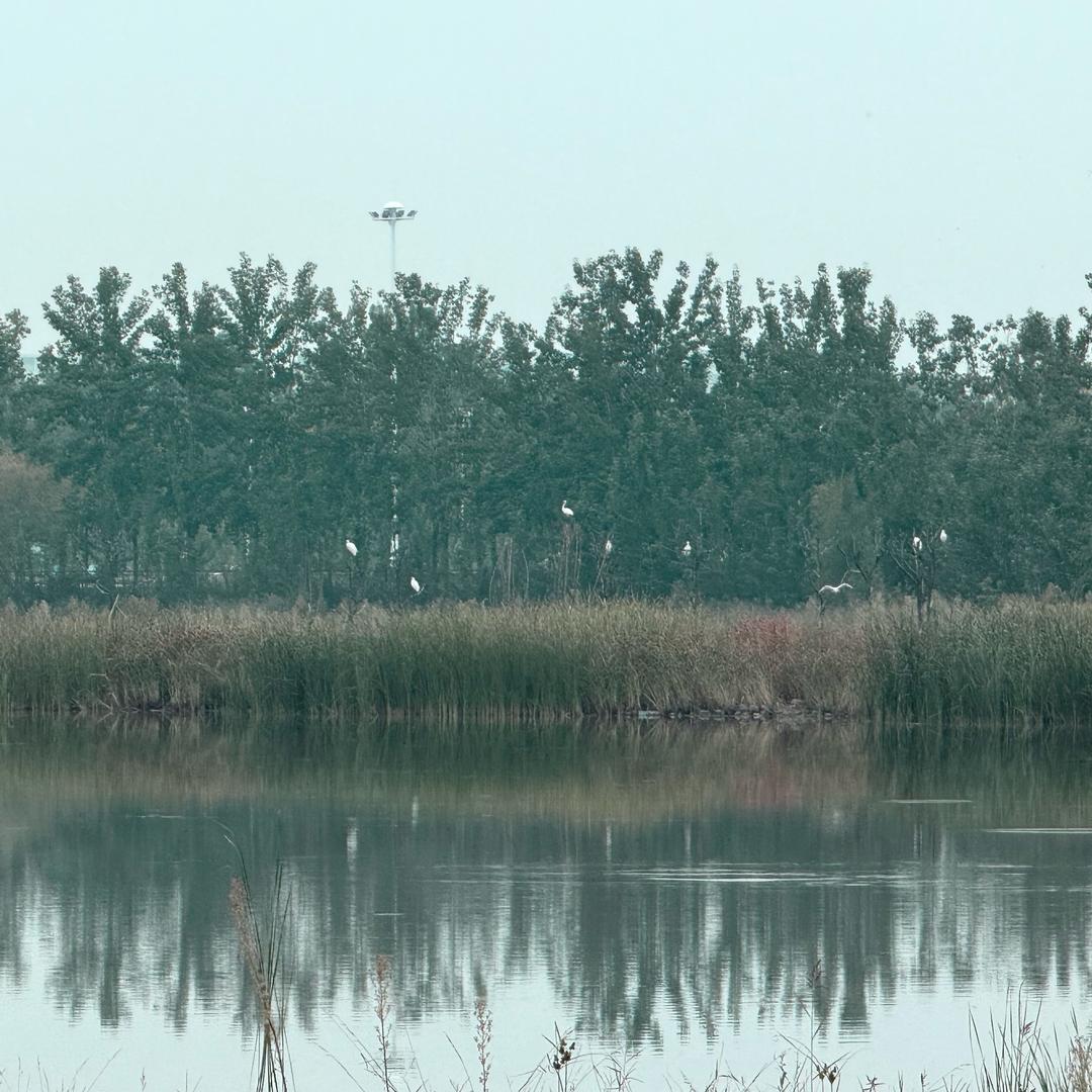城发投•7420 张洁