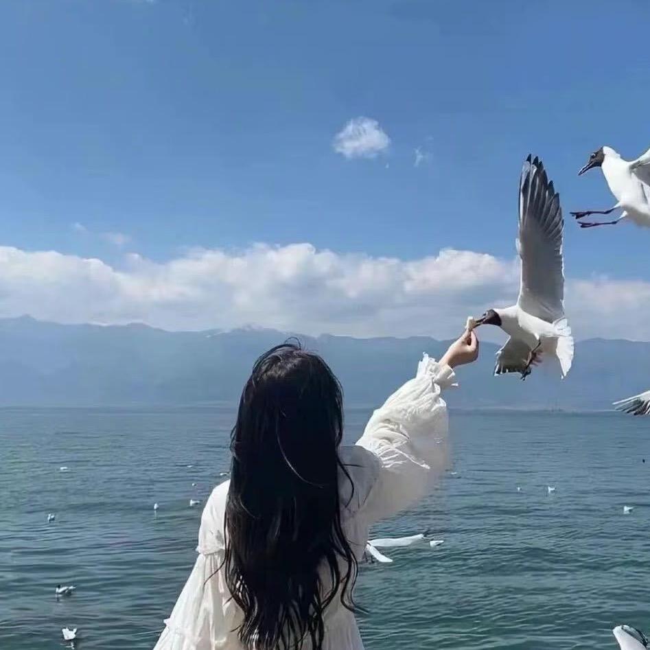 空白……