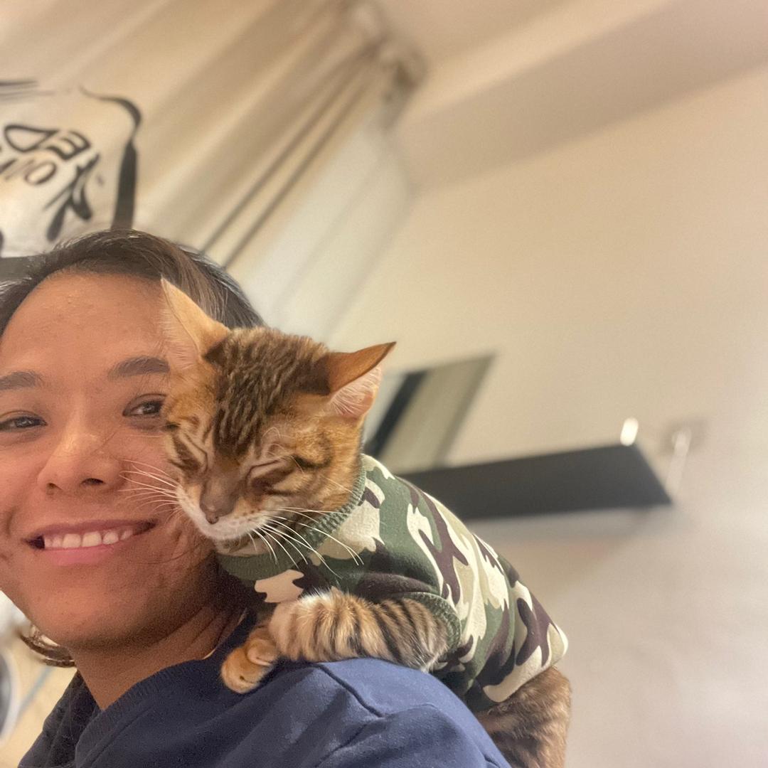 虎虎猫