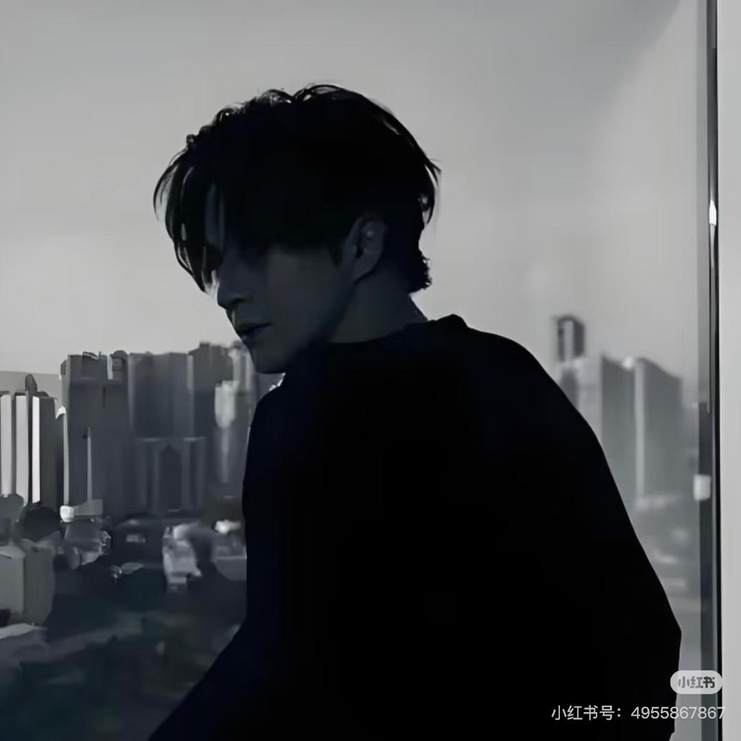 林le（减肥版）