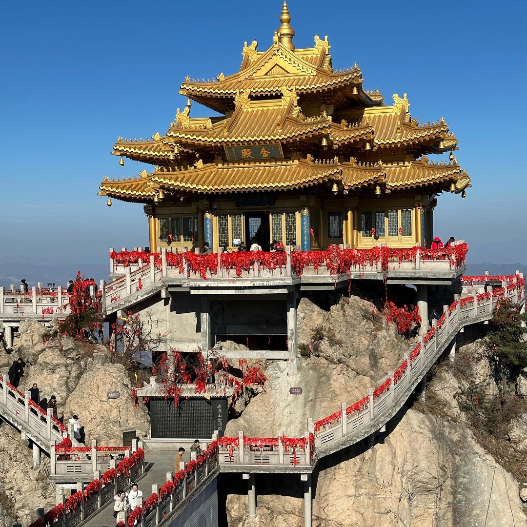 阳洋