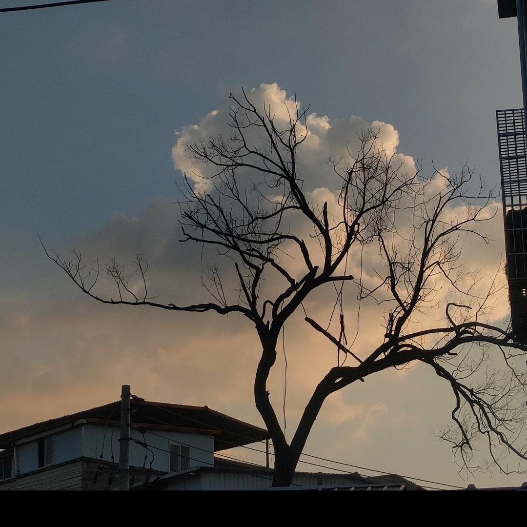 个der