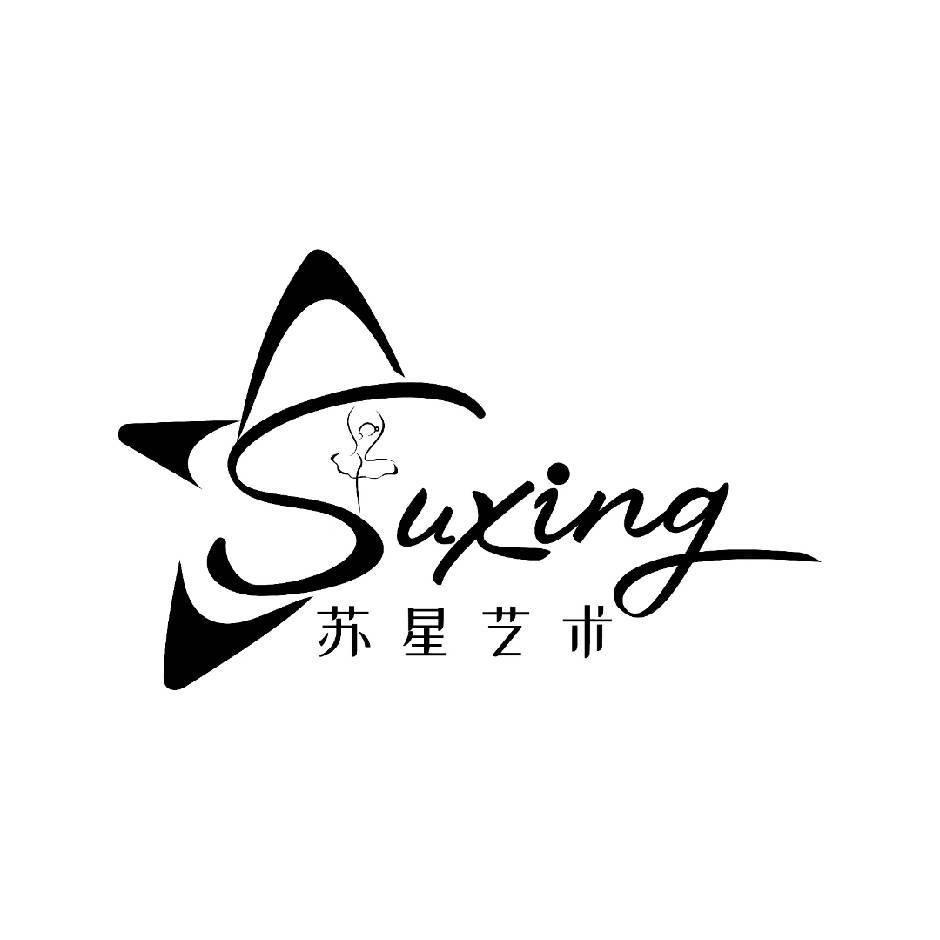 苏星艺术培训中心