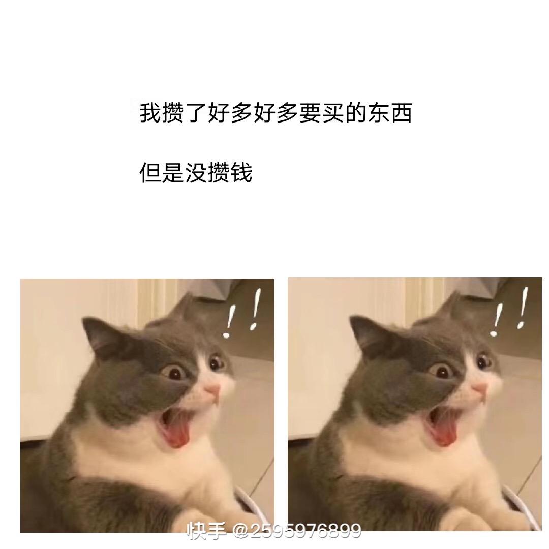 牛犇汽车脚垫