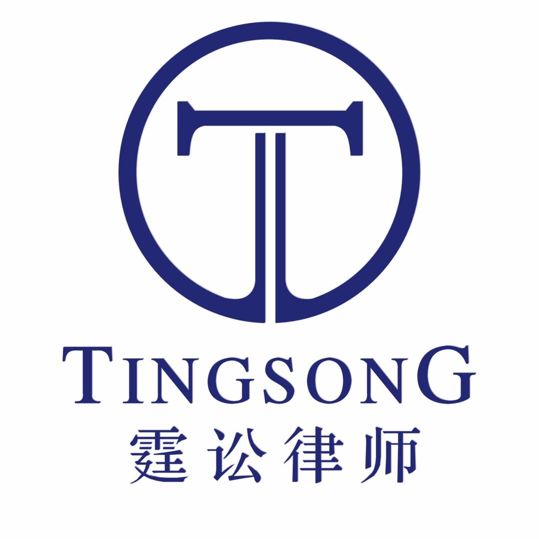 河南霆讼律师事务所