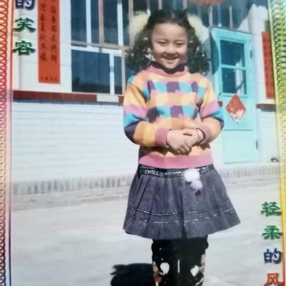 肉羊（增肥版）