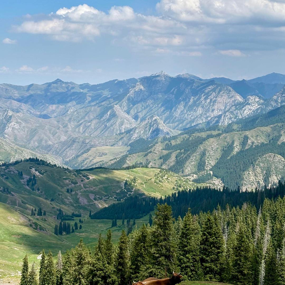 继光超市衣橱1号