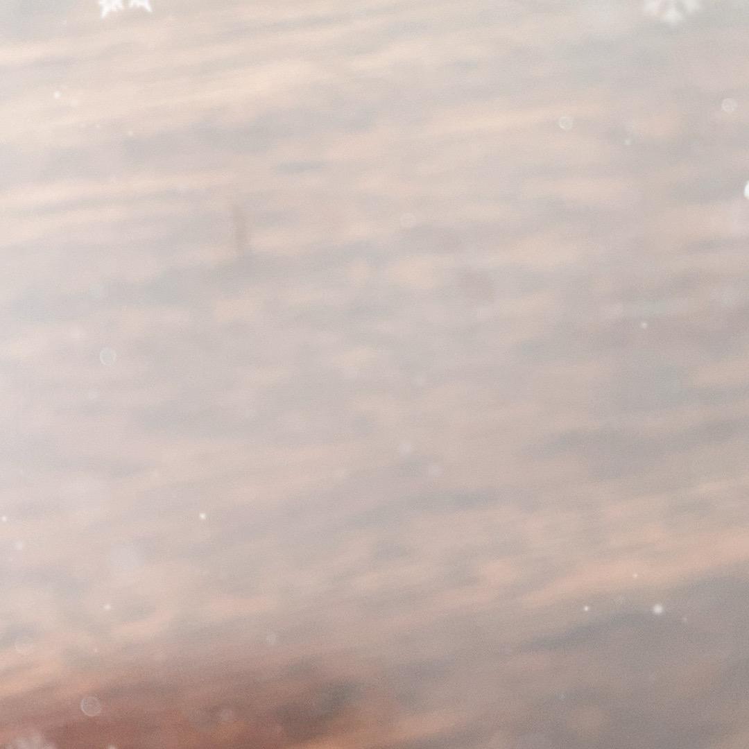 阿拉小贝