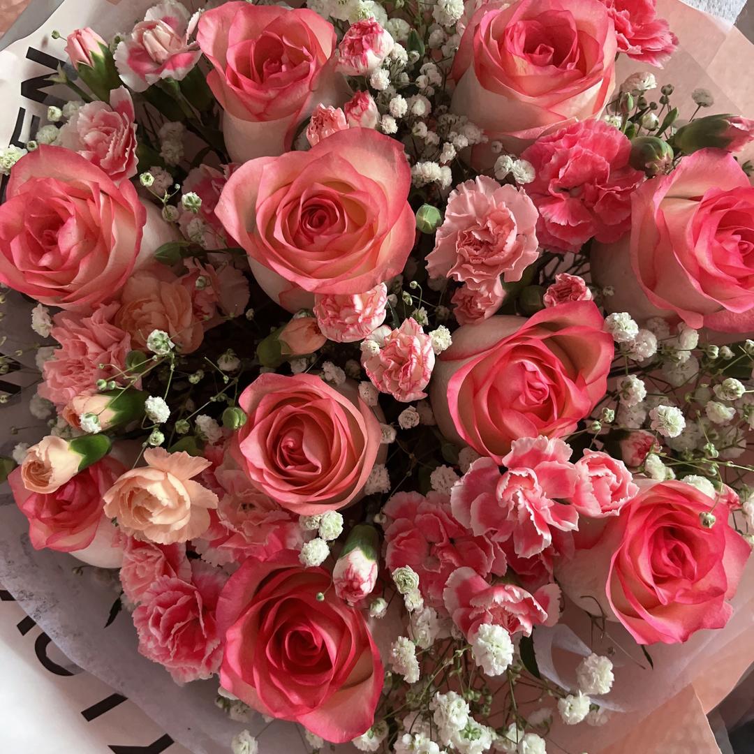 ❄️❄️天天都开,心