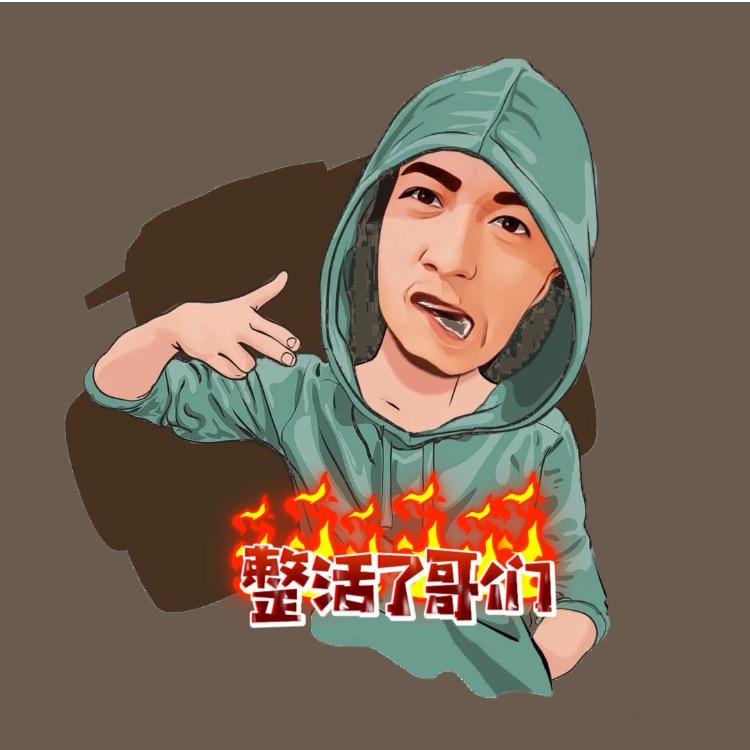 飞哥精选（🛡️已授权放心购）