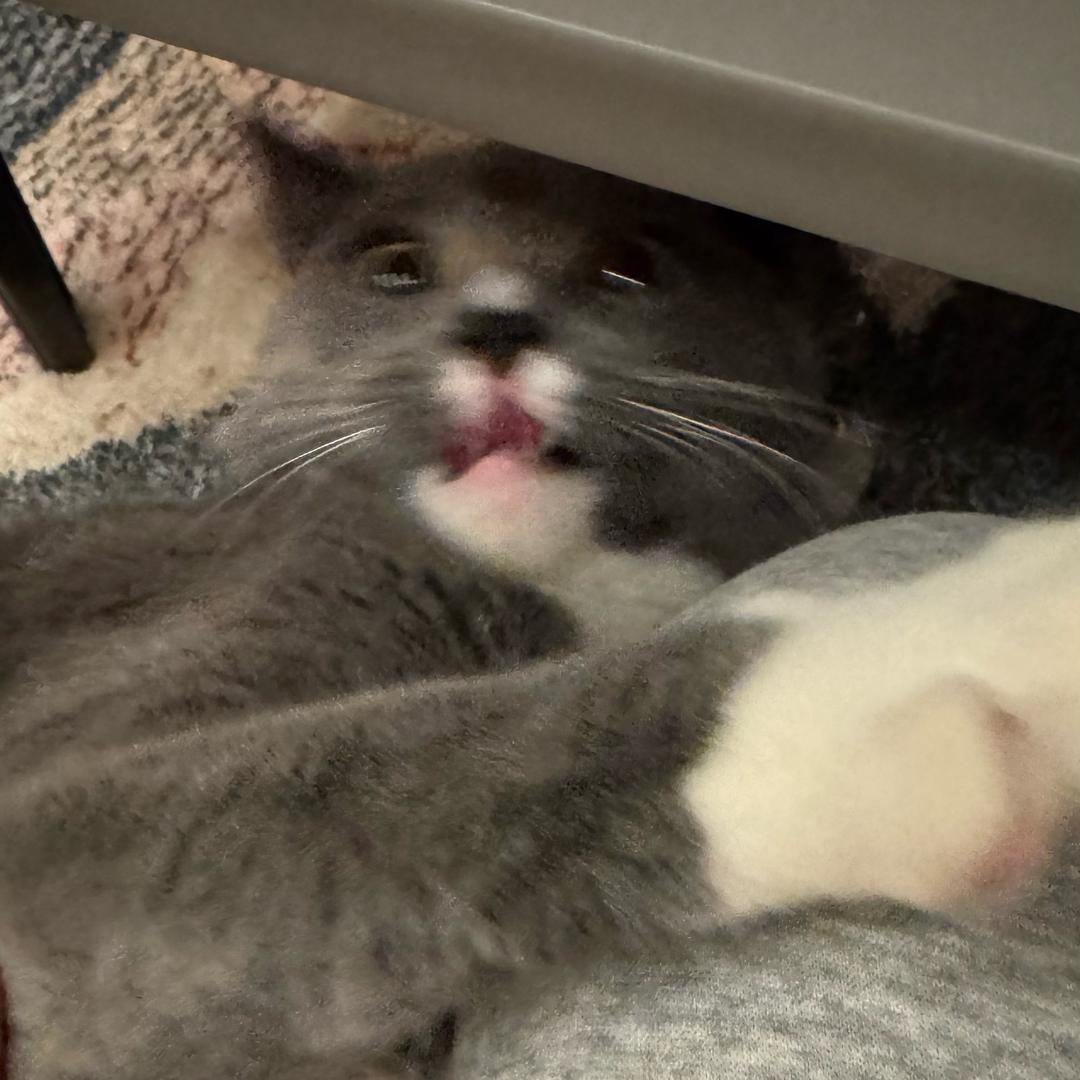 AzRrr
