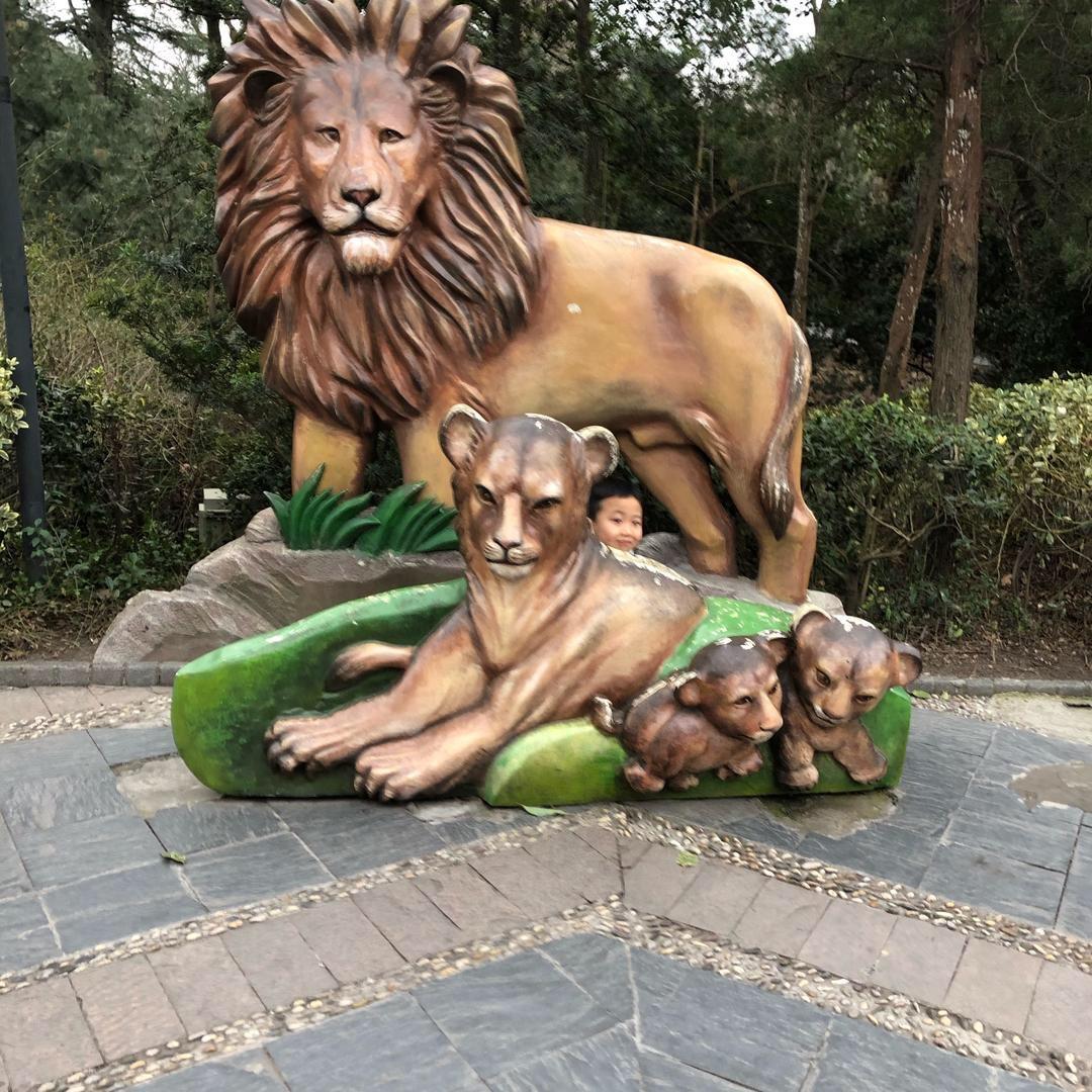 上海酒店客房焦姐