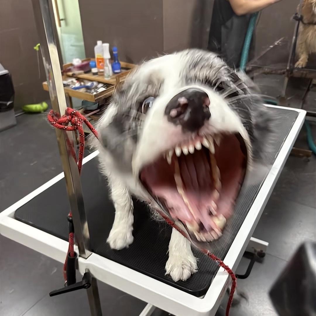 杨💥💥
