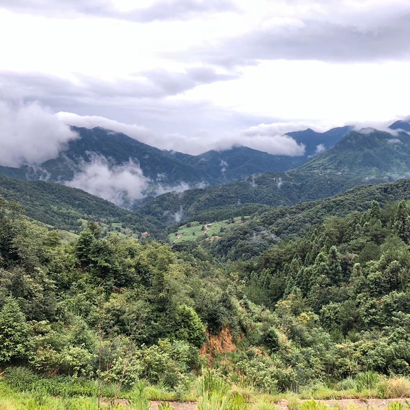H素年锦时