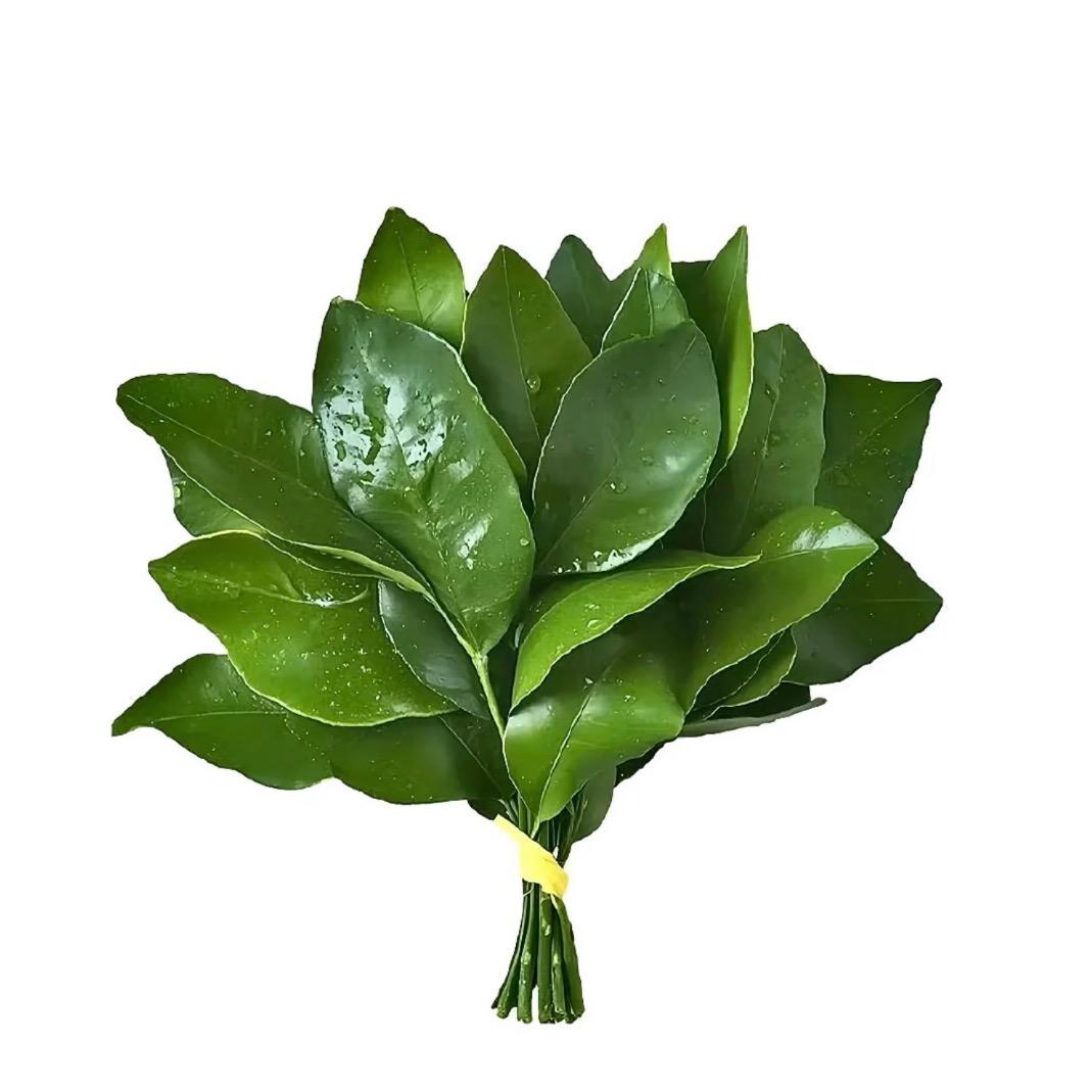 哥斯拉吃水怪🫥