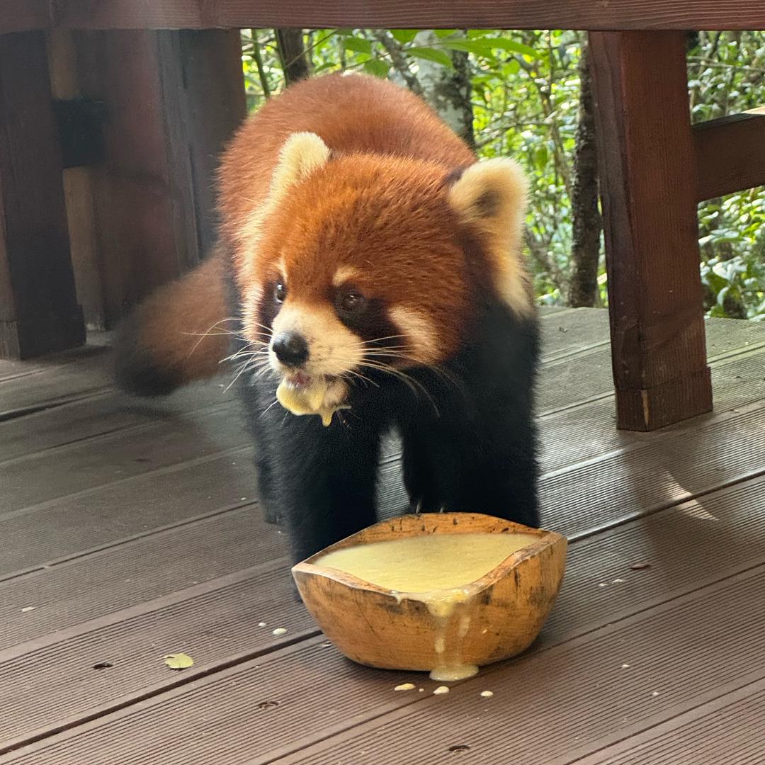 有缘再见