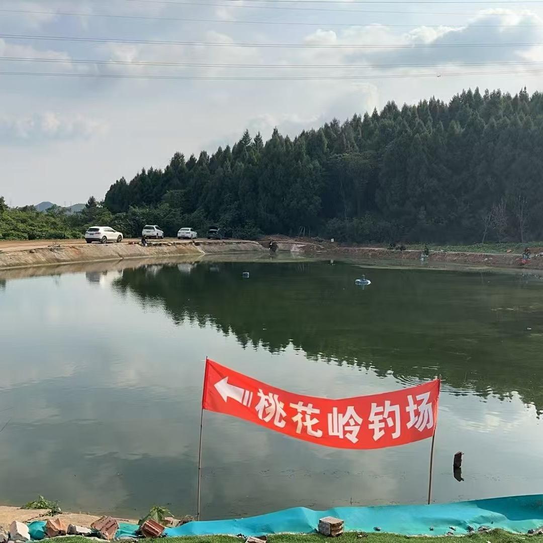 绵阳桃花岭钓场