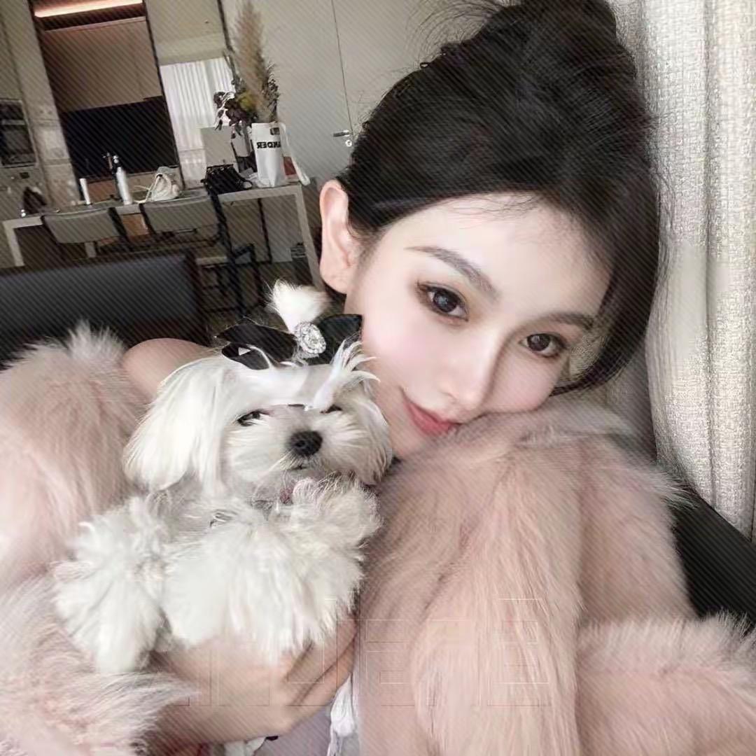 小诺咖
