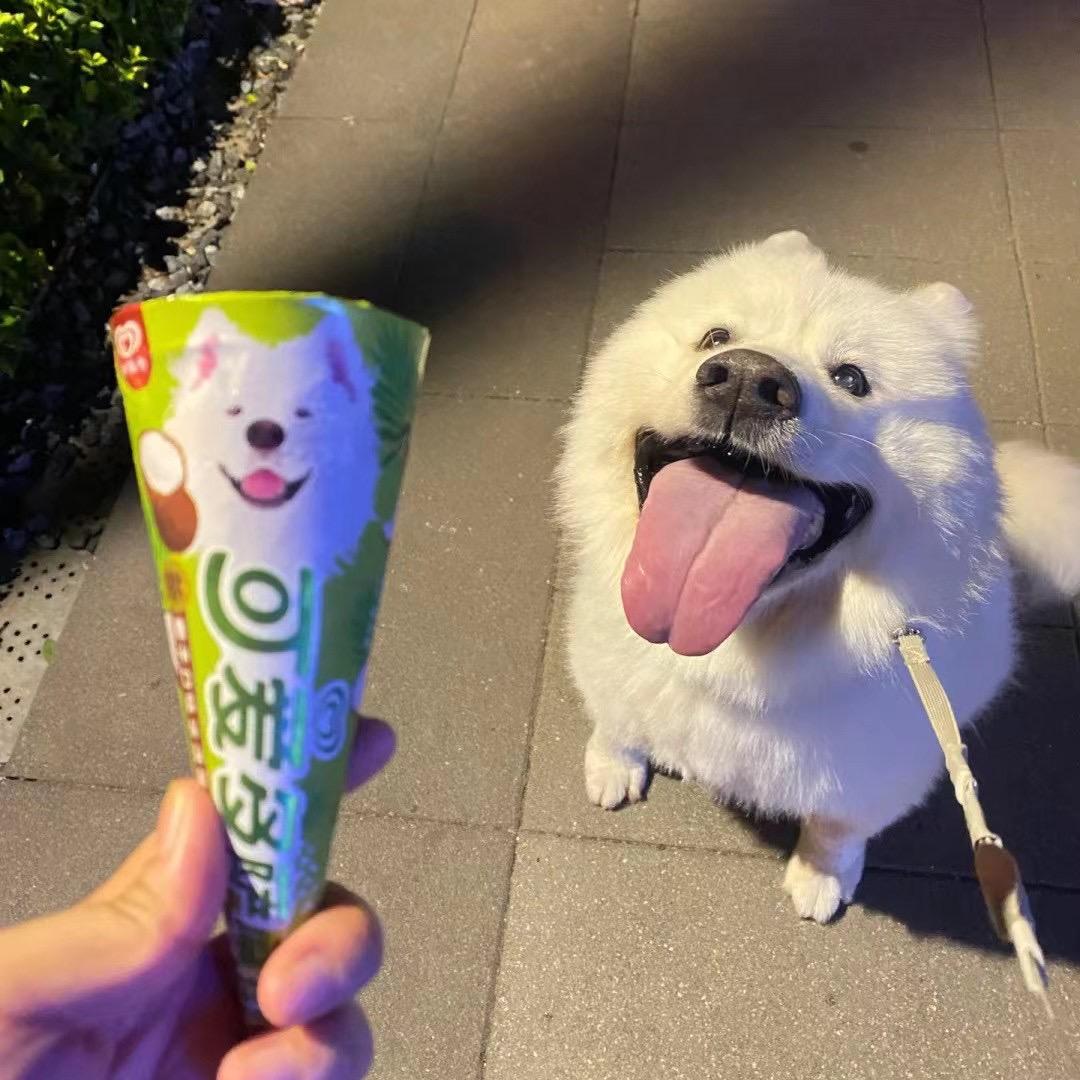 天蝎小洛