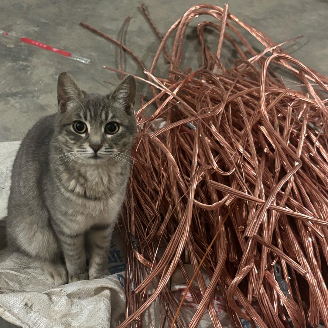 郑州专业回收铁铜铝