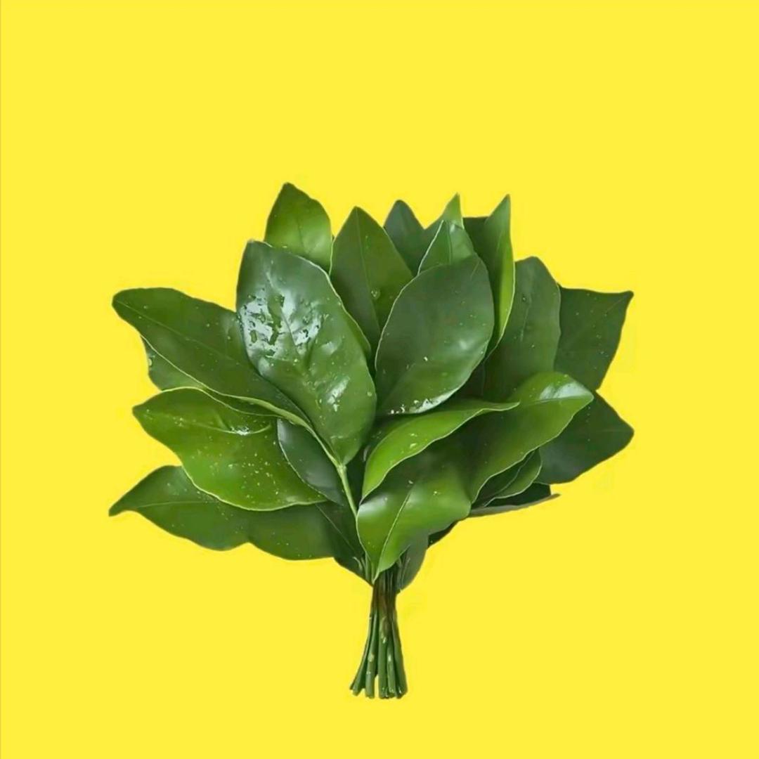 你是谁啊