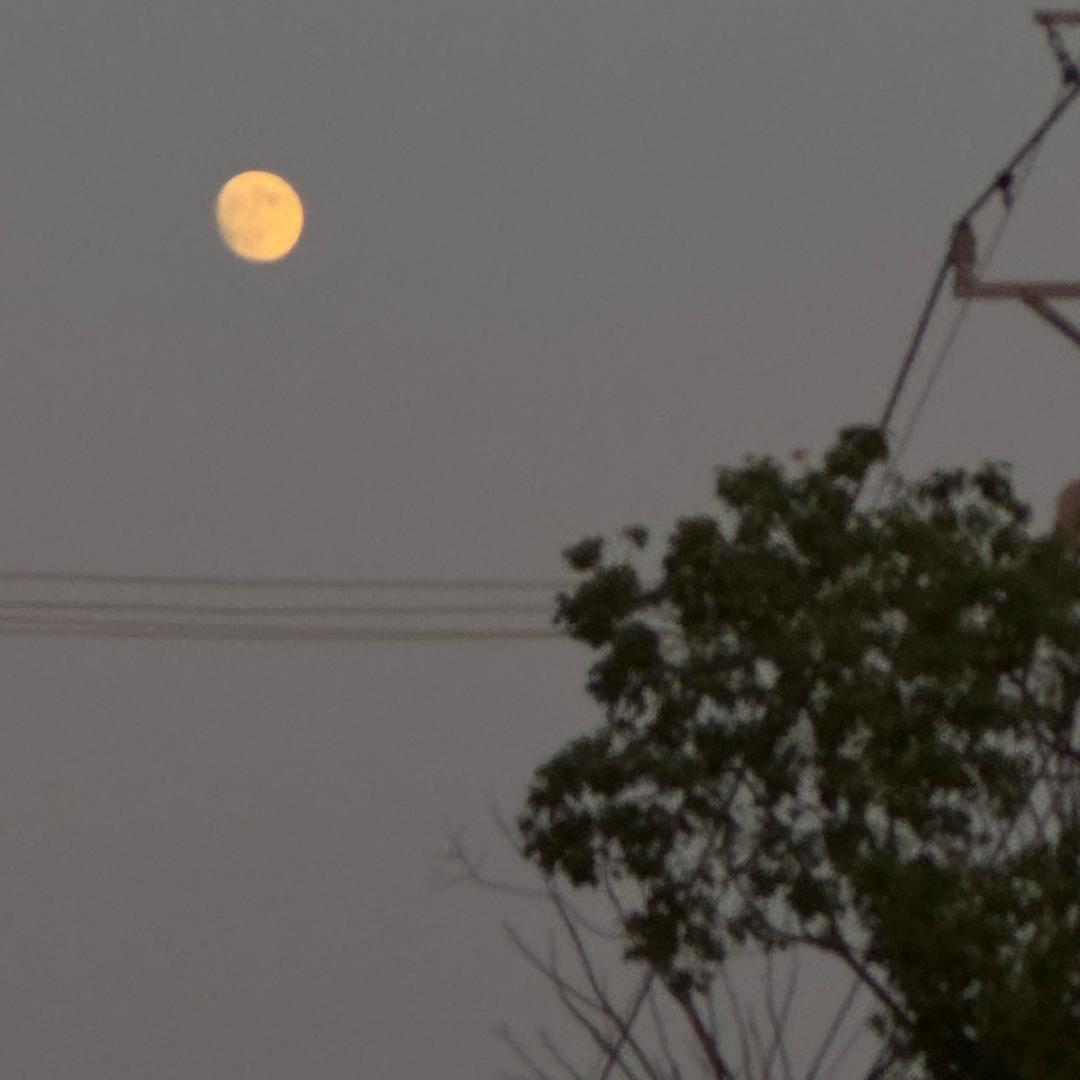 快鱼（丁堰店）