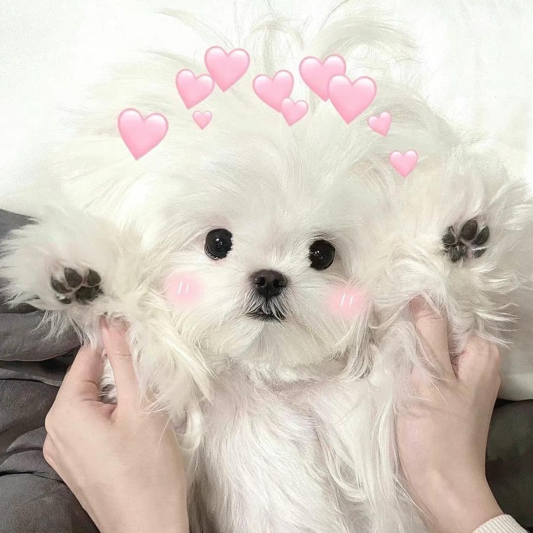 Lucky琪🐣